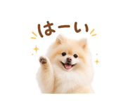 855277043