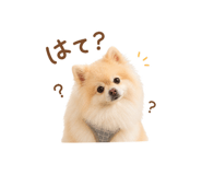 855277044