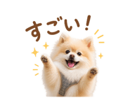 855277047