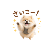 855277051