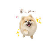 855277056