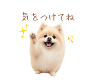855277060