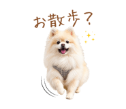 855277063