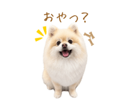 855277064