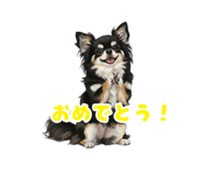 855278053