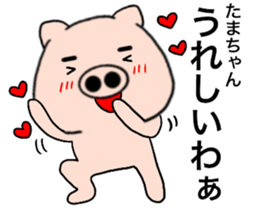 85527853