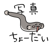855278783