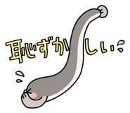 855278792