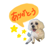 855280042