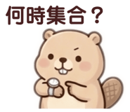 855280069