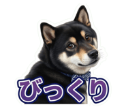 855280622