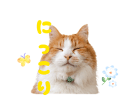 855281136