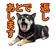 855281230