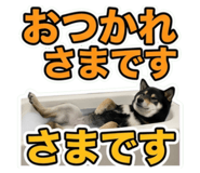 855281544