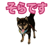 855281545