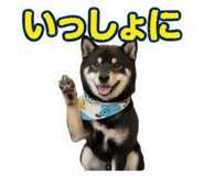 855281549