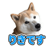 855281566