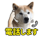 855281568