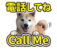855281569