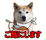 855281571