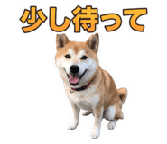 855281572