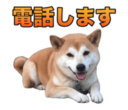 855281576