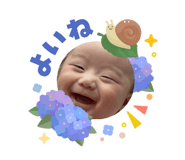855281842