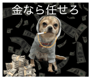 855281849