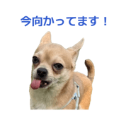 855281867