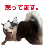 855281869