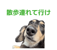 855281871
