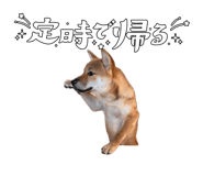 855282883