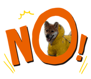 855282885
