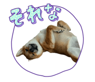 855282889