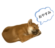 855282892
