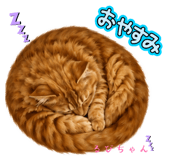 855283309