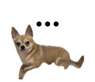 855284010