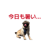 855284014
