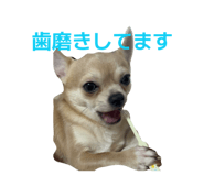 855284029