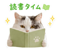 855286381