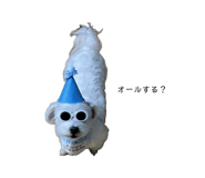 855289151