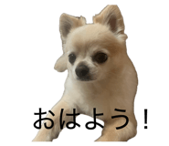 855289697