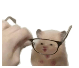 855289951