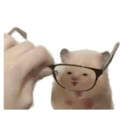 855289951