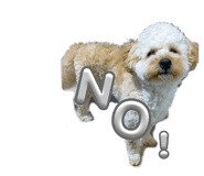 855291309