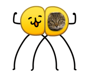 855291557