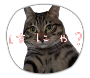 855291575