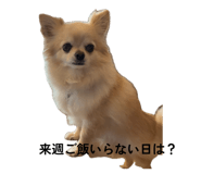 855292140