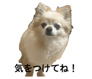 855292141