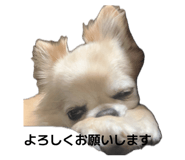 855292144